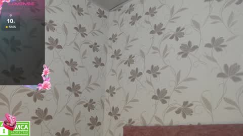 Snapshot of victoria017 chatting on 01.18.25 Victoria online show from 01.18.25