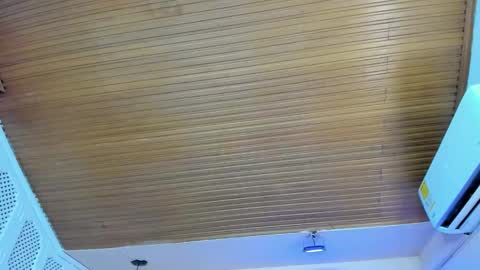 Viiolett online show from 10.15.25