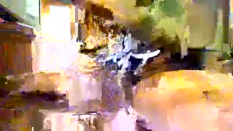 Snapshot of viizin chatting on 02.23.25 viizin online show from 02.23.25