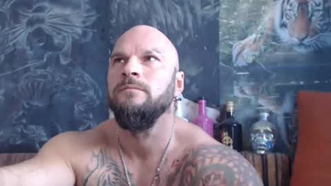 viking online show from 10.05.25