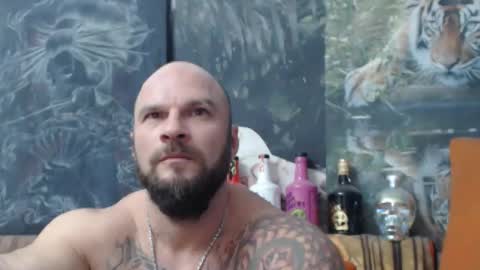 viking online show from 10.16.25