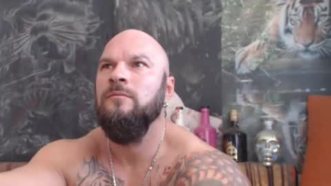 viking online show from 11.02.25