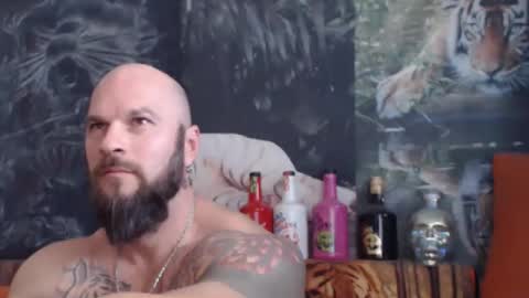 viking online show from 11.04.25