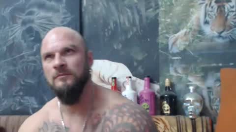 viking online show from 11.05.25