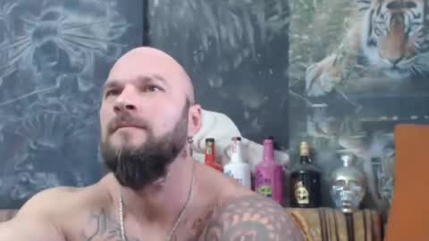 viking online show from 11.16.25