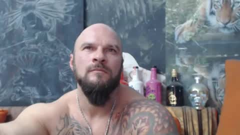 viking online show from 11.21.25