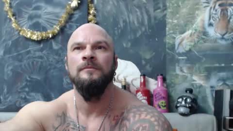 viking online show from 01.31.26