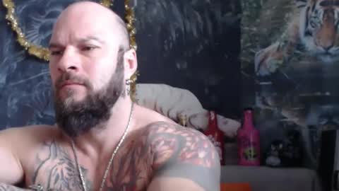 viking online show from 02.11.26