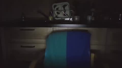 Snapshot of viktor26a chatting on 03.11.25 Victor online show from 03.11.25