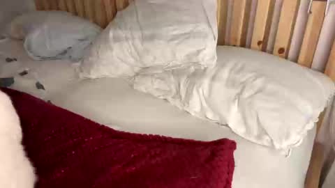 Vince online show from 02.01.25