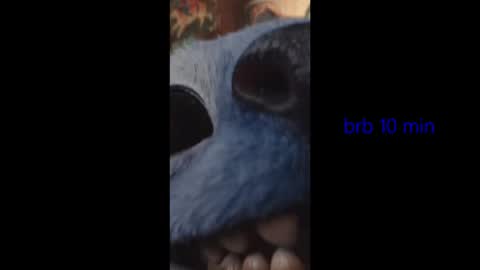 vinkitinkii online show from 02.06.26