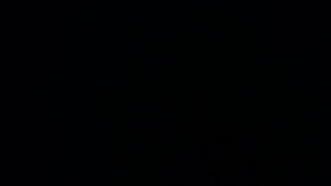 Snapshot of vio_let_ chatting on 12.26.24 Daniela online show from 12.26.24