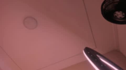 Snapshot of violeta_abel chatting on 10.15.25 Violeta online show from 10.15.25