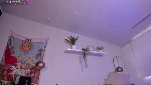 Violeta  online show from 01.09.26