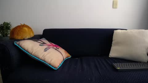 Violeta Gmez online show from 03.11.25