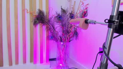 Violeth Hill online show from 12.27.24