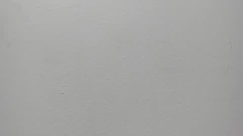 violett_24_ online show from 02.28.25