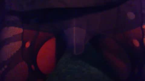 Snapshot of vitaminhard58 chatting on 02.11.26 vitaminhard58 online show from 02.11.26