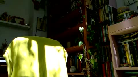 Snapshot of vivid_ether chatting on 10.27.25 Viv online show from 10.27.25