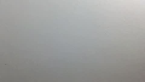 volentic online show from 10.09.25