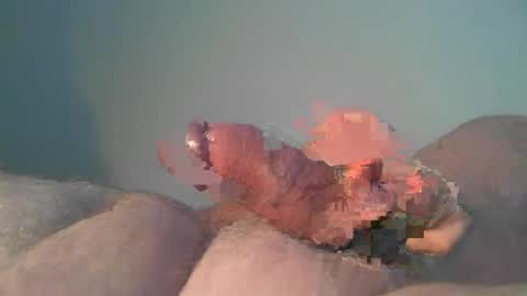 vukavuka99 online show from 10.26.25