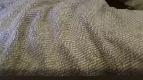 hung boy online show from 02.01.25