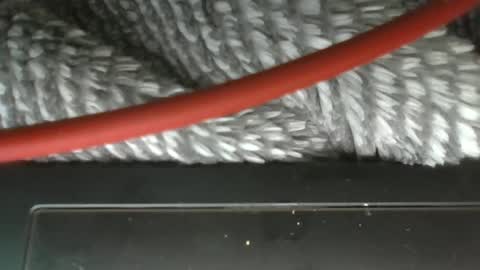 hung boy online show from 03.12.25