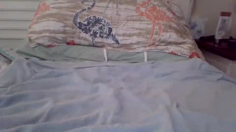 vwjim26 online show from 09.26.25