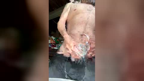 Walter online show from 03.12.26