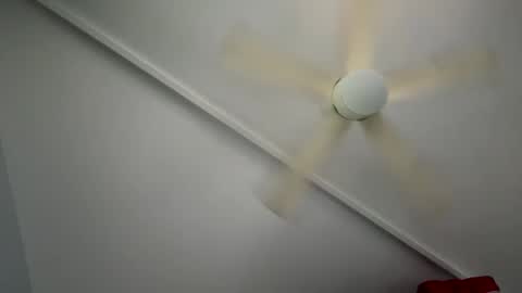 wan2cum4you online show from 02.01.25