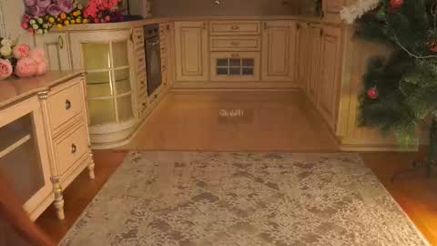 hello guys im Lilian online show from 01.12.26