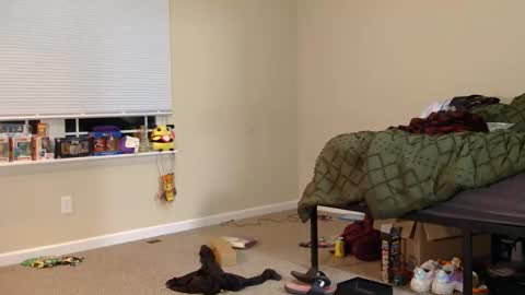 COSMOxWANDA online show from 03.03.26