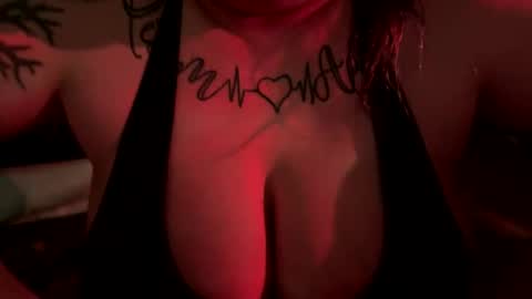 WildVagabonds online show from 11.29.25