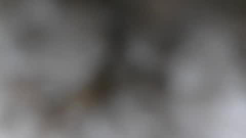 Snapshot of wantmymantofukme chatting on 10.21.25 wantmymantofukme online show from 10.21.25