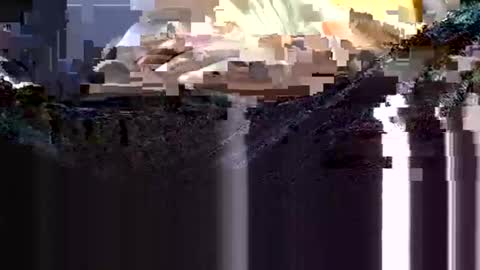 Snapshot of wanttowatch87 chatting on 02.12.25 wanttowatch87 online show from 02.12.25