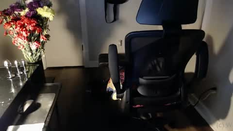 Snapshot of wasted_daze_ chatting on 10.25.25 wasted_daze_ online show from 10.25.25