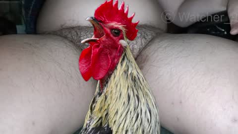 classified online show from 12.08.24