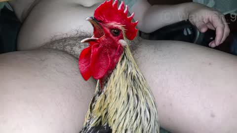 classified online show from 12.24.24