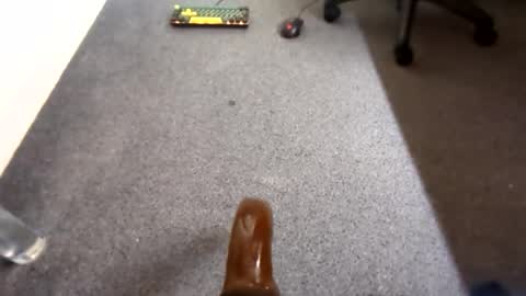 waterd4wg online show from 04.19.26