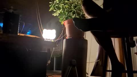 watershed111111 online show from 01.12.26