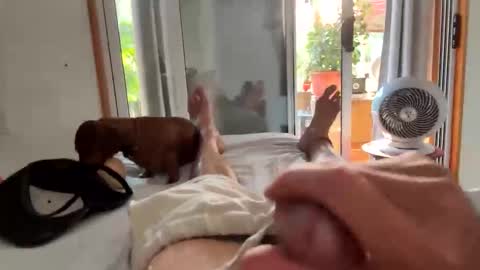 watershed111111 online show from 02.06.26