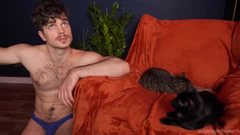 Snapshot of waynenorth chatting on 11.22.25 waynenorth online show from 11.22.25