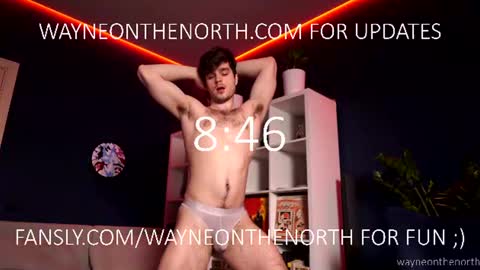 waynenorth online show from 07.05.26