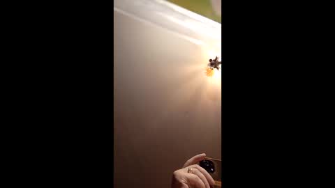 Snapshot of webiran chatting on 03.02.26 webiran online show from 03.02.26