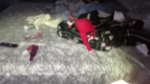 Snapshot of wedifferent_ chatting on 11.01.25 wedifferent_ online show from 11.01.25