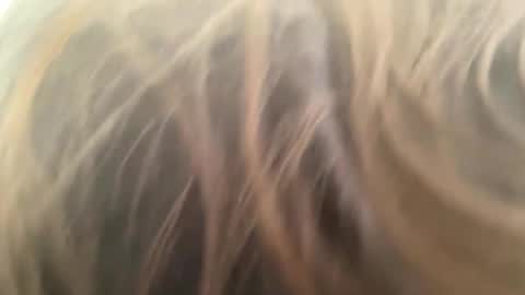 weedwacker43 online show from 03.01.26