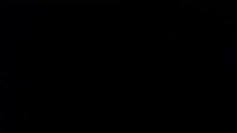 wellingtont online show from 11.26.25