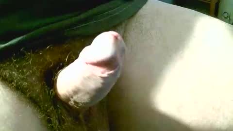 welshstuds online show from 09.11.25