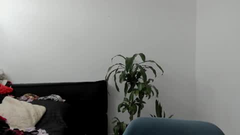 Snapshot of west_ta chatting on 09.17.25 tatty online show from 09.17.25