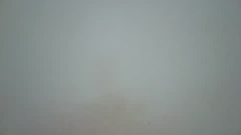 wet_pussieyy online show from 11.10.25